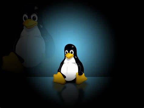 Linux主机Headless与Headed无缝热插拔切换